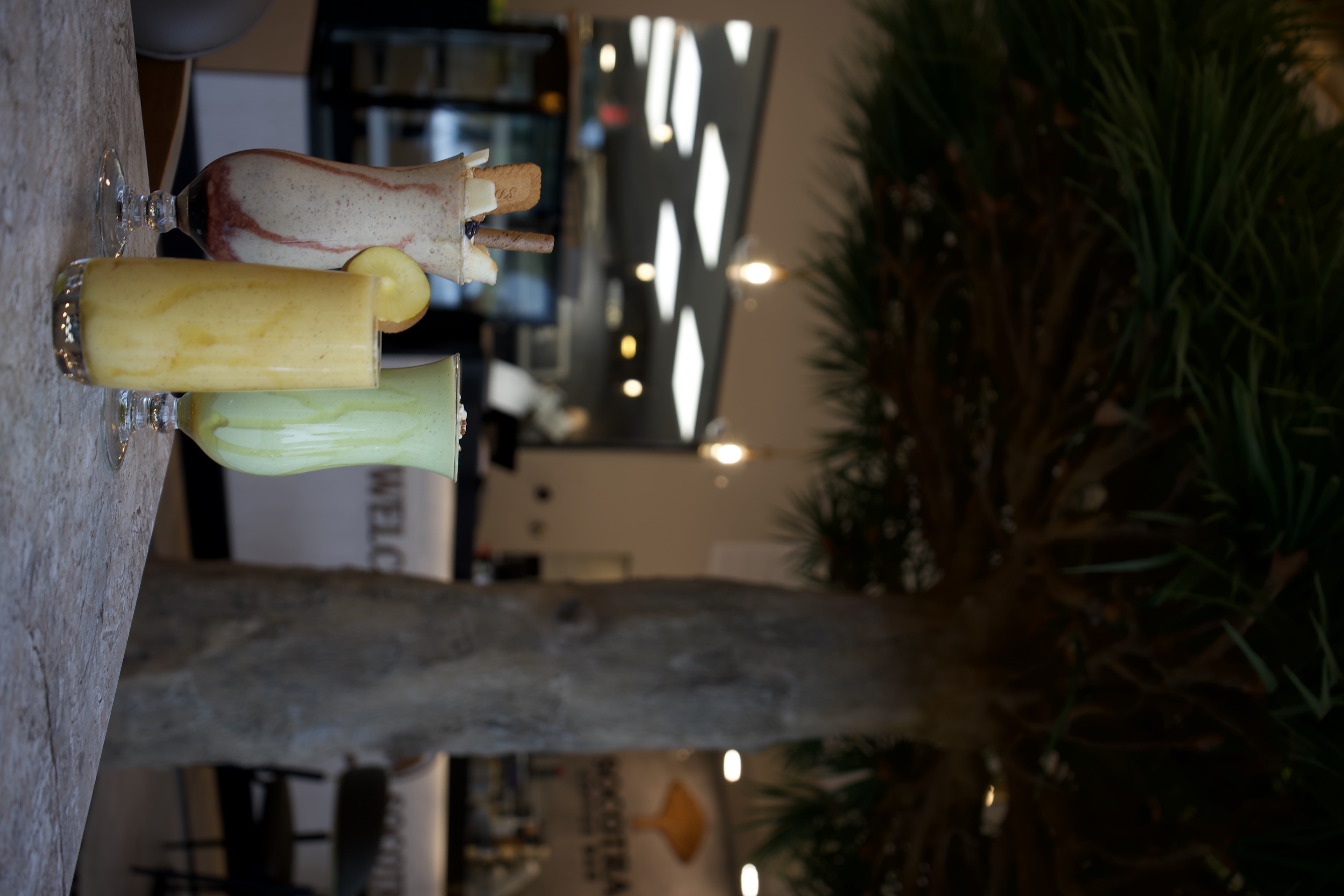 Smoothies under the dragon’s blood tree at SOCOTRA